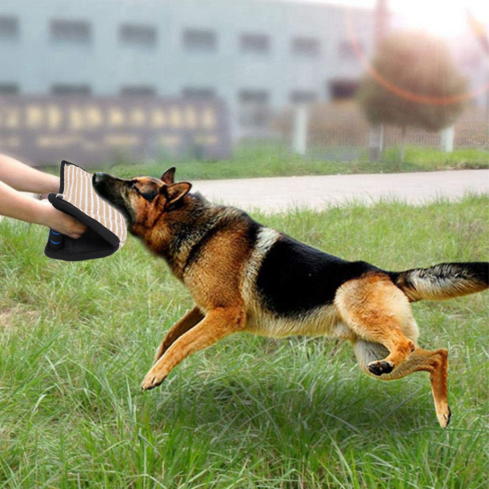 スポーツやトレーニング用の犬用噛むおもちゃ 犬用噛む枕 犬用引っ張りおもちゃ 犬のトレーニング用の..