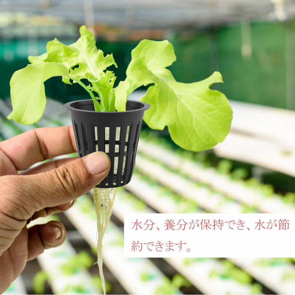 【送料無料 】　人気商品 高品質のプラスチック製　水耕バスケット　ガーデン栽培...