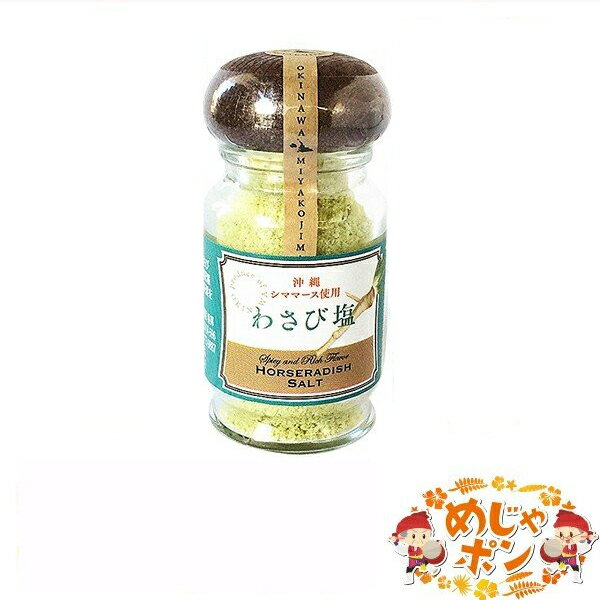 塩 シママース 沖縄 調味料 わさび塩 わさび塩 45g×5個 島マース アクアグリーン おすすめ