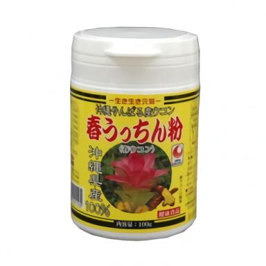 ウコン サプリメント 粉末 春ウコン 沖縄県産 お土産 送料無料 おすすめ 春うっちん粉容器入100g×5点セット うっちん沖縄