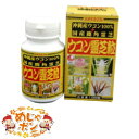 ウコン うこん 春 秋 紫 お土産 沖縄県産 おすすめ ウコン霊芝粒1000粒入×10点セット うっちん沖縄