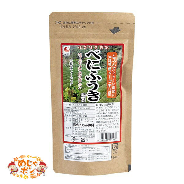 べにふうき 健康 沖縄県産 お土産 おすすめ べにふうき緑茶40g(2g×20包入)×5点セット うっちん沖縄