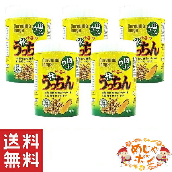 沖縄 健康 ウコン 秋うっちん粉容器入100g×5個セット 仲善のサムネイル