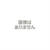 FSQ ガイドリング SR80X7.5 (外径80mm 幅7.5mm)