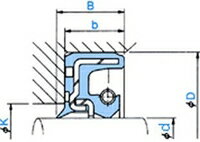 NOK オイルシール TCN254511 (AP1338F0) TCN型(4.0)