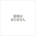 デンソー DENSO フランジ(481170-0190) スポットクーラー オプション