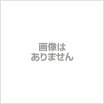 デンソー DENSO スポットクーラー フィルター 標準型(HR-13) (484400-0510)