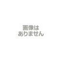 東洋ゴム工業 RF-135用タイヤ トーヨーラブフレックス