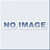 乐天商城 - ハンマーキャスター 413SA-PH125 フェノール