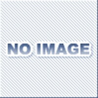 イマオコーポレーション NDX16-NUT NDX SDX専用ナット