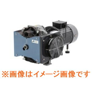 アネスト岩田 GVS-501E 汎用ドライス