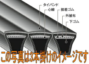 乐天商城 - バンドー化学 パワースクラム 5V形 2-5V950