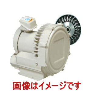 日立産機システム VB-002S-G2 単相100V ボルテックスブロワ Gシリーズ