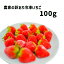 農家のわけあり冷凍苺 国産 イチゴ いちご 100g 冷凍フルーツ 冷凍果物 おいしい 甘い フルーツ 果物