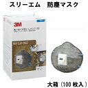 3M 防塵マスク 使い捨てタイプ 9913JV-DS2 (大箱100枚入り) 国家検定合格品 スリーエム 防じんマスク