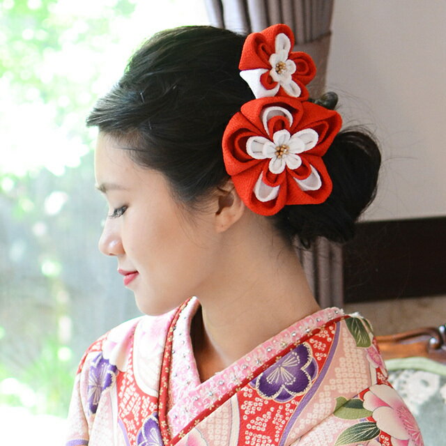 �������Υإåɥɥ쥹���� ������ȱ����2��SET/��[wa029r]