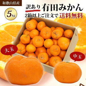 【訳あり】 大玉 中玉 みかん 有田みかん 5kg 2箱以上（10kg）で送料無料 訳アリ ミカン 農家直送 訳あり有田みかん 蜜柑 5キロ 和歌山県 有田市 和歌山みかん 大粒 大玉 中玉 小玉 小粒 おいしい 果物 フルーツ 自宅用 箱買い 家庭用 大きめ 大きい 小さめ 小さい 甘い