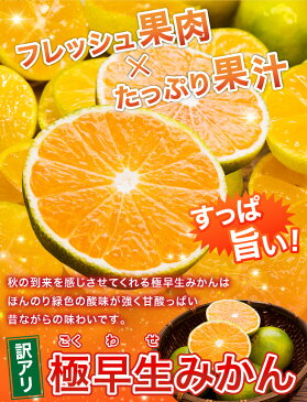 【訳あり】 極早生 和歌山 訳あり 無選別 極早生 蜜柑 有田みかん 10.0kg 酸味が爽やか フレシュ 送料無料 和歌山県 有田市 みかん 和歌山みかん 小粒 大粒 大玉 小玉 蜜柑 ミカン set セット 10kg 早生みかん 果物 フルーツ 酸味 10キロ