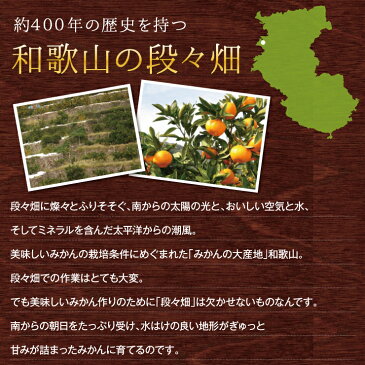 【訳あり】 送料無料 みかん 福袋 春柑橘セット 10.0kg 訳あり 和歌山産 春みかん ポンカン デコポン なつみ ブラッドオレンジ はるみ 蔵出しみかん はっさく 伊予柑 清見 set 国産 果物 フルーツ 産地直送 送料無料 送料込み 10キロ 甘い 美味しい おいしい