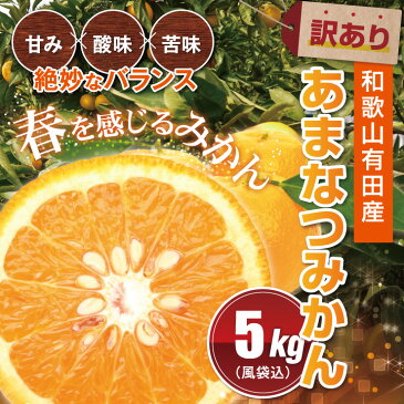 送料無料 訳あり 和歌山 有田産　春 あまなつみかん 甘夏 5.0kg 甘味 酸味 苦味 絶妙なバランス 春みかん 果物 フルーツ 産地直送 送料無料 送料込み （北海道・沖縄・一部離島+500円）