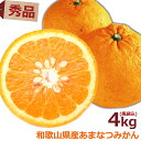 秀品 あまなつ 甘夏 4kg 和歌山 4キロ 有田産 春 あまなつみかん 甘味 酸味 苦味 絶妙なバランス 春みかん 果物 フルーツ 産地直送 送料無料 送料込...