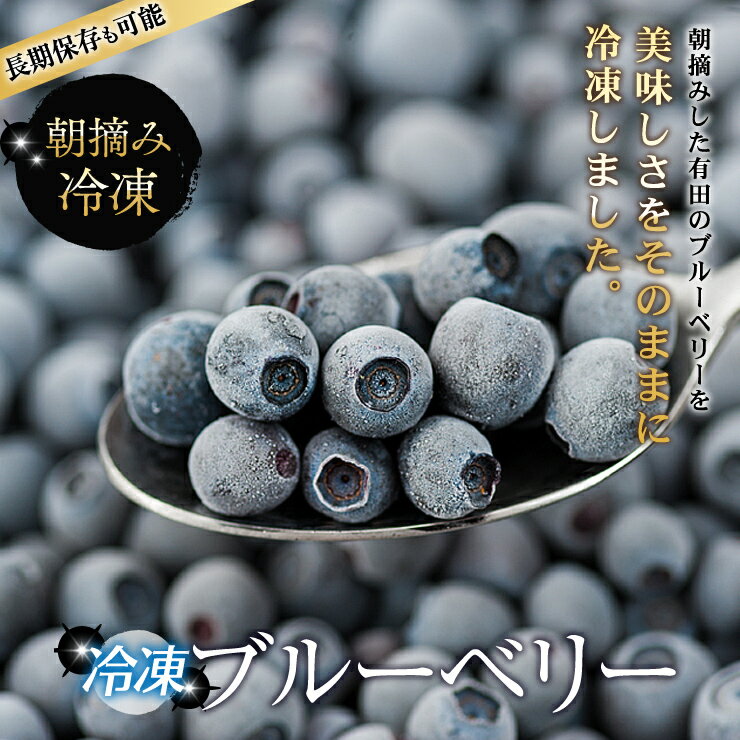 &nbsp; 内容量 500g　 賞味期限 お早目にお召し上がりください。 保存方法 冷凍保存 原材料 冷凍 ブルーベリー 産地 紀州和歌山有田産 商品説明 朝に収穫し、おいしさそのまま冷凍。