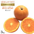 オレンジ3kg和歌山県有田市産地直送柑橘系かんきつぼほんのう6号中間母本農6号ちゅうかんぼほんのうろくごうフルーツおいしいみかん甘い小粒小さめ3キロ箱買い家庭用ギフト