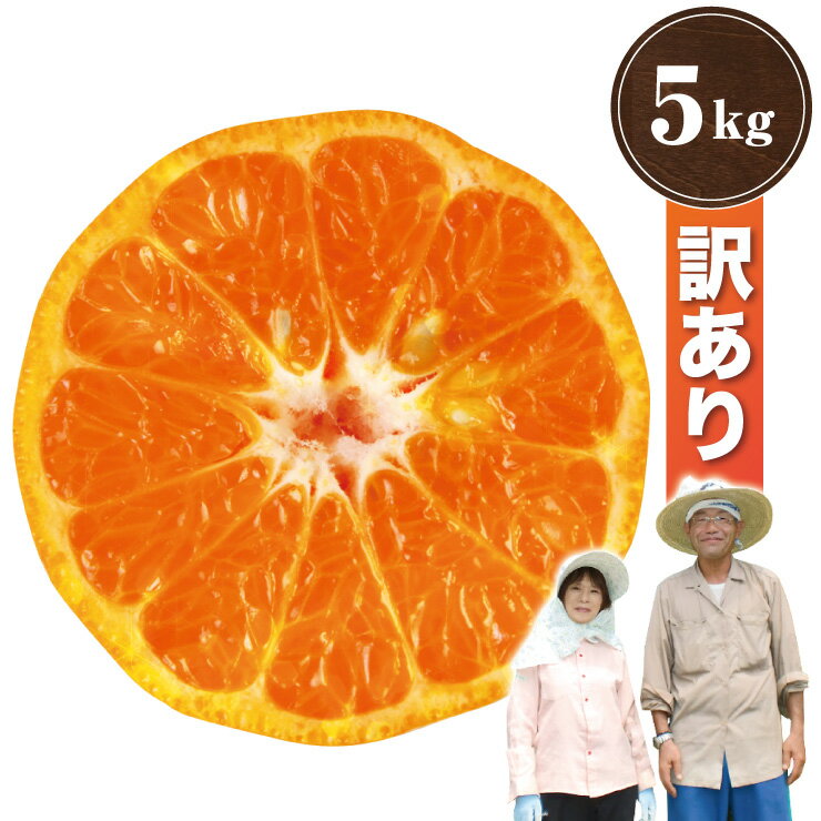 【訳あり】 有田 ポンカン 5kg 訳あり みかん科 柑橘類 5.0kg ぽんかん 産地直送 送料無料 和歌山県 有田市 蜜柑科 ミカン科 set セット 果物 フルーツ くだもの おいしい 美味しい 箱買い 自宅用 家庭用 甘い 5キロ 訳アリ 国産 日本 ポンカン5キロ