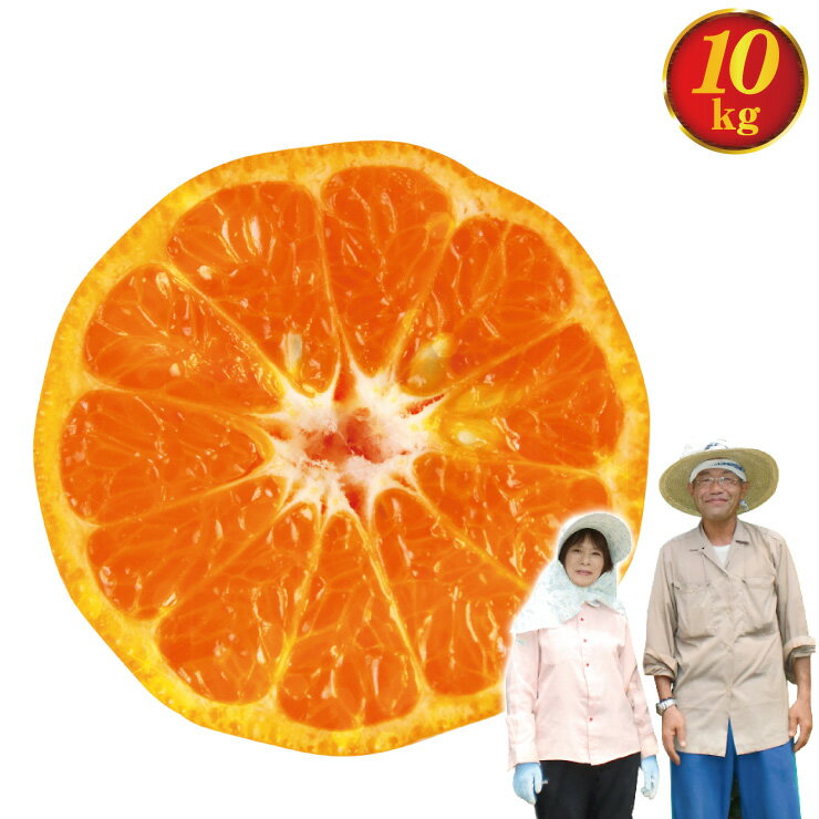 ポンカン 10.0kg 送料無料 サイズ不選別 ぽんかん 10kg みかん科 ミカン科 有田 有田ポンカン10kg 送料無料 産地直送 和歌山 有田市 日本 国産 果物 フルーツ ギフト 贈答用 10キロ
