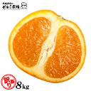 【訳あり】 清見 オレンジ 訳あり 清見オレンジ 8.0kg 送料無料 果物 くだもの フルーツ 訳あり 送料無料 和歌山 有田 産地直送 オレンジ 8kg 自...