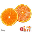 【訳あり】 なつみオレンジ 5.0kg 訳有り なつみ みか