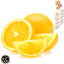バレンシアオレンジ 7.5kg【訳あり】 産地直送 和歌山県 国内 国産 送料無料 バレンシア オレンジ 完熟 果物 フルーツ 美味しい おいしい 甘味 酸味 糖度 訳あり 自宅用 家庭用 箱買い 箱 訳アリ