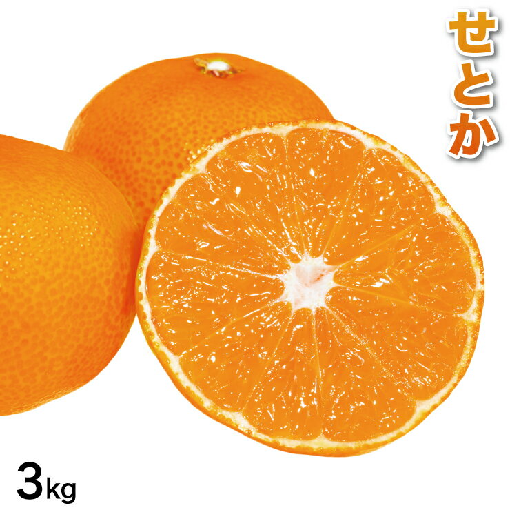 秀品 ギフト せとかみかん 3kg 8〜15玉前後 春みかん 果物 フルーツ 産地直送 送料無料 送料込み 国産 蜜柑 和歌山県 和歌山 みかん 3.0kg おいしい 甘い フルーツ ギフト 贈答用 贈り物 3キロ