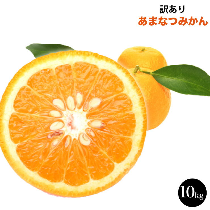 【訳あり】 送料無料 訳あり 和歌山 10kg 有田産 春 あまなつみかん 甘夏 10.0kg 甘味 酸味 苦味 絶妙なバランス 春みかん 果物 フルーツ 産地直送 送料無料 送料込み 送料込 10キロ 甘い 美味しい おいしい