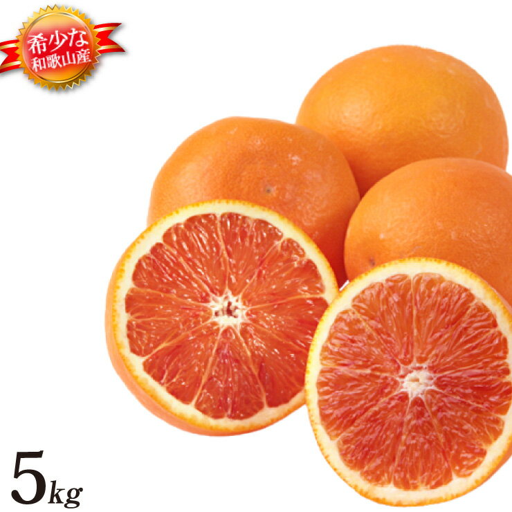 ブラッドオレンジ 和歌山 産地直送 5kg オレンジ 柑橘系 箱買い みかんの国 和歌山県産 ブラッドオレンジ5kg 国産 フルーツ 甘い 美味しい おいしい 果物 箱買い 送料無料 送料込み