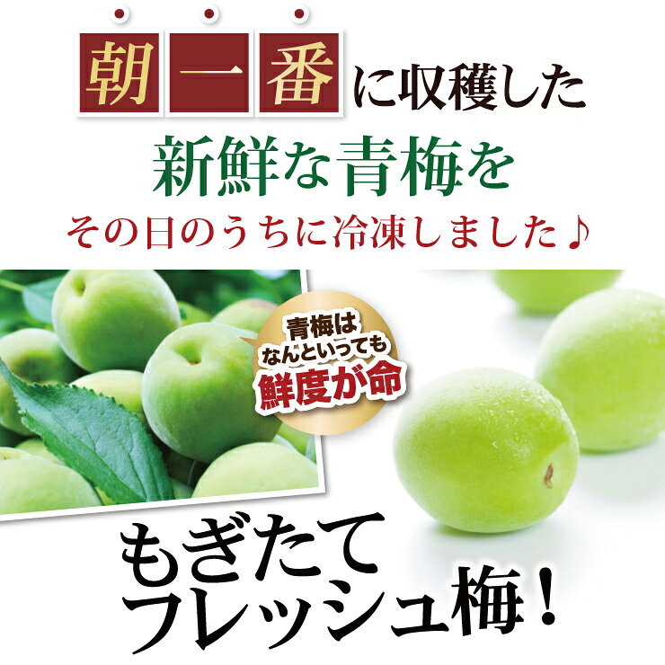 【冷凍】 冷凍青梅 Lサイズ以上 1kg 紀州南高梅 青梅 南高梅 和歌山県産 朝採れ青...