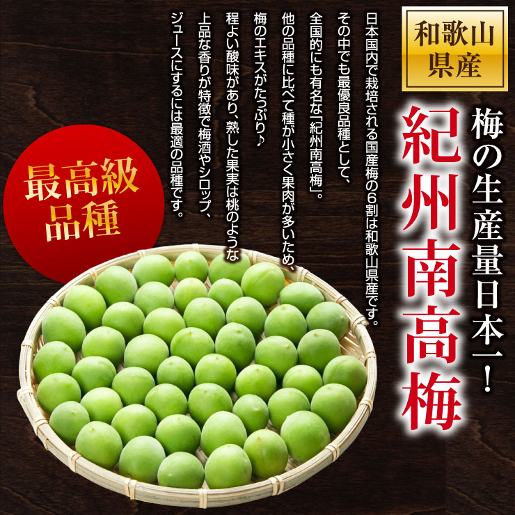 【冷凍】 訳あり 冷凍青梅 1kg サイズ混合 M L 2L 3L 4L 紀州南高梅 青梅 南高梅 ...
