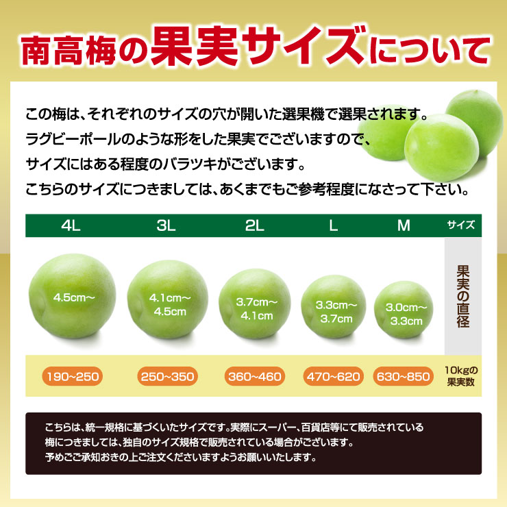 【冷凍】 訳あり 冷凍青梅 1kg サイズ混合 M L 2L 3L 4L 紀州南高梅 青梅 南高梅 ...