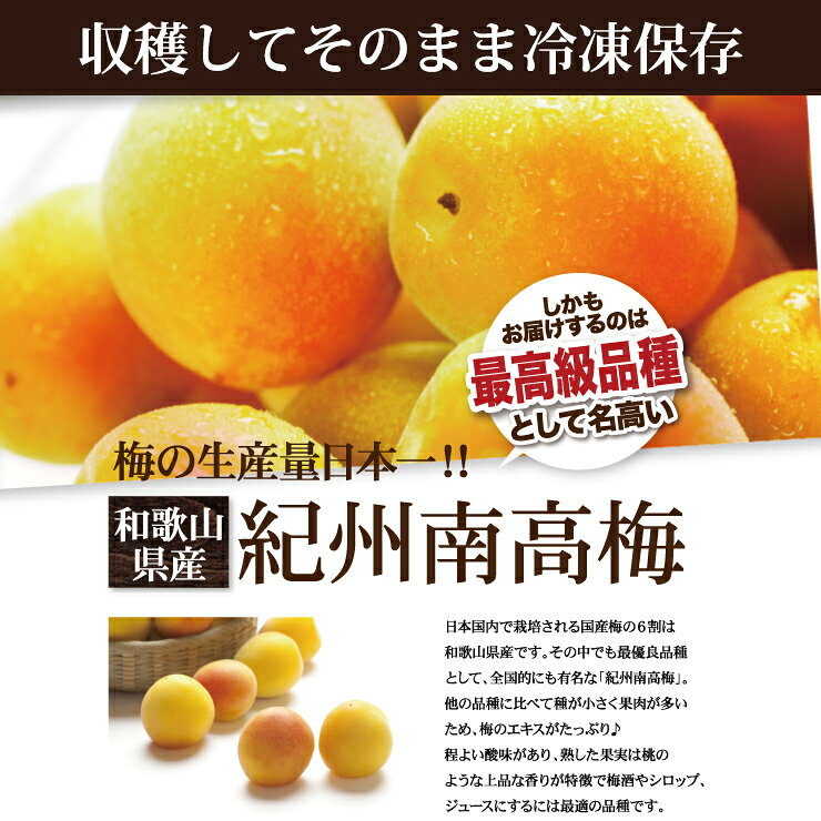 【冷凍】 訳あり 冷凍完熟青梅 1kg サイズ混合 M L 2L 3L 4L 紀州南高梅 青梅 南高...