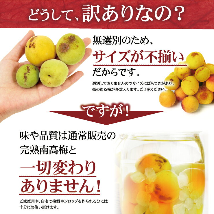 【冷凍】 訳あり 冷凍完熟青梅 1kg サイズ混合 M L 2L 3L 4L 紀州南高梅 青梅 南高...