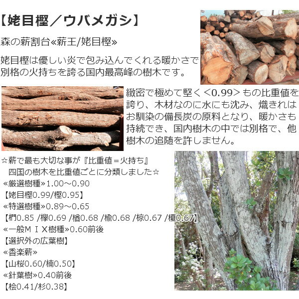 森の薪割台 ≪薪王/姥目樫≫ 薪の王様 ウバメガシ 薪割り台 広葉樹原木 【メーカー直送品・代引不可・同梱不可】☆焚き火 焚火 たき火 キャンプファイヤー 薪ストーブ 暖炉 燃料 窯 アウトドア キャンプ 送料無料通販格安セール情報 楽天 通販