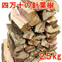 薪 森の針葉樹 四万十の杉/桧 お買い得 大量 ボリューム 25kg中割薪 針葉樹乾燥薪 焚き火 焚火 BBQ キャンプファイヤー 薪ストーブ 暖炉 燃料 窯 キャンプ ダルマストーブ ロケットストーブ 小型ストーブ 送料無料 （メーカー直送品 同梱）