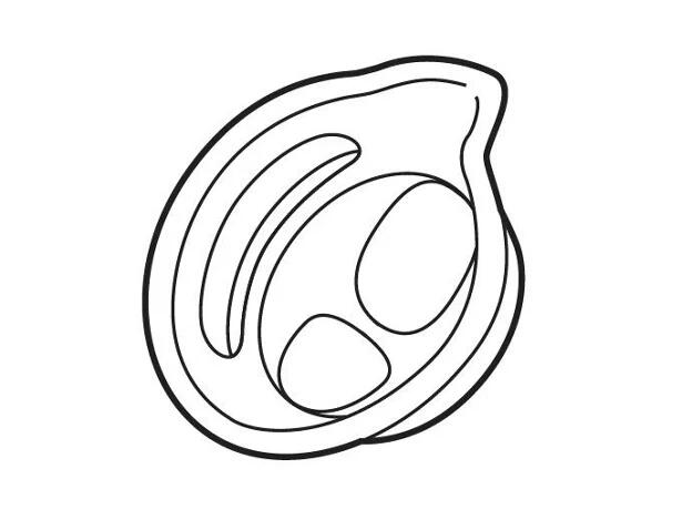 パナソニック部品：アタッチメントA（吸入マスク)/EWKA65X3717スチーム吸入器用〔メール便対応可〕