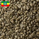 珈琲生豆 エチオピア イルガチェフェ G2 500g コーヒー生豆 送料無料 生豆 コーヒー豆 自家焙煎 焙煎 趣味 手網焙煎 フライパン焙煎 アウトドア キャンプ 浅煎り 中煎り 深煎り 家庭焙煎 Ethiopia