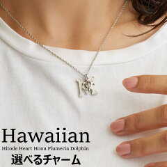 https://thumbnail.image.rakuten.co.jp/@0_mall/melodyacc/cabinet/00910402/hawaiian/hw-in1-102.jpg