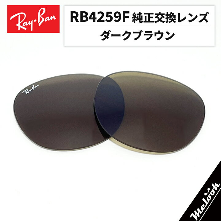 【RB4259F-L73】Ray-Ban レイバンRB4259F用 純正交換レンズ 53サイズ強化軽量プラスチック　ダークブラウンロゴ・刻印入り　簡単交換RB4259F-71073 / 0RB4259F-710/73(4)