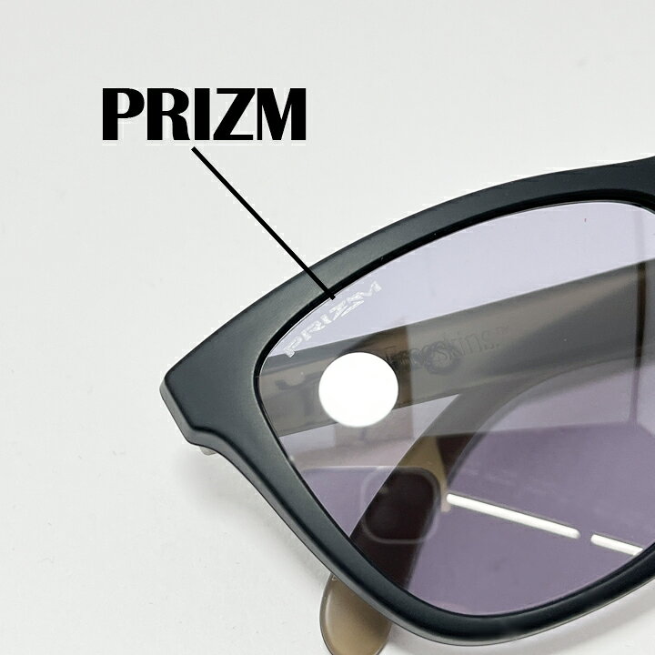 OAKLEY オークリー OO9245-E554サングラスFROGSKINS フロッグスキン009245-E554 AS...