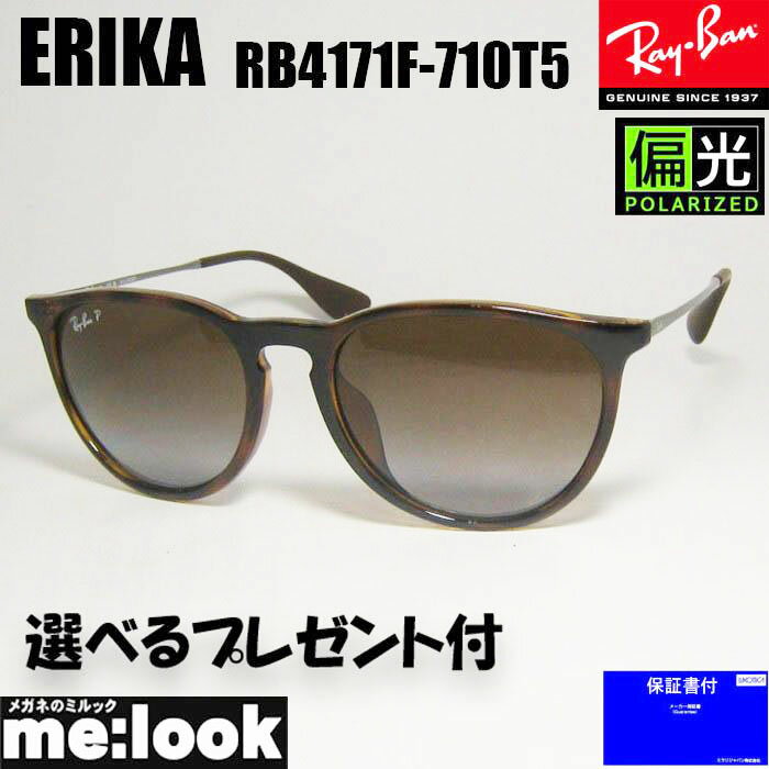 RayBan レイバン RB4171F-710T5-54偏光サングラスERIKA エリカトータス ガンメタル ブラウンデミ RB4171F-710/T5-54