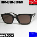 RayBan レイバン RB4439D-623173-54サングラスオ...(4)