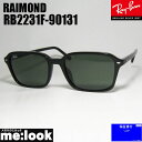 RayBan レイバン RB2231F-90131RAIMOND レイモンドスクエア サングラスブラック RB2231F-901/31(4)